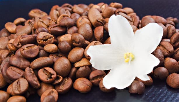 Coffee beans with white flavor