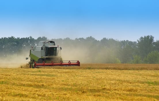 Big  combine working on the Wheat field