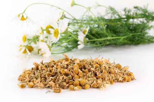 a handful of dried chamomile flowers against a white background