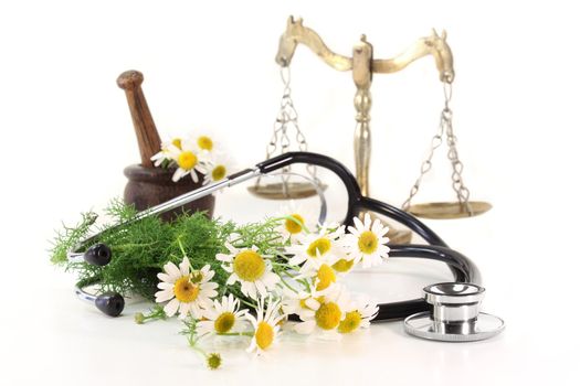 Stethoscope on a white background and chamomile

