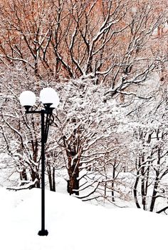 Snowy lantern with snow falling on street