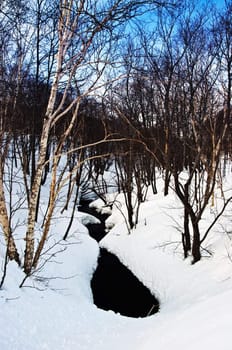 Landscape with the river covered with snow and trees