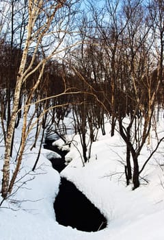 Landscape with the river covered with snow and trees