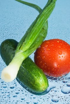 washed vegetables with water droplets