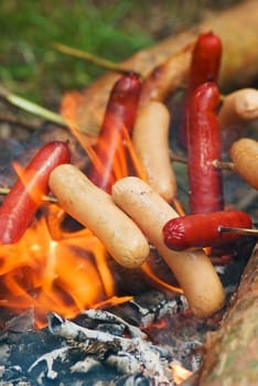 Cooking of sausages on the hot embers