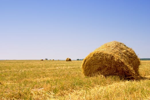 Farmers field full of hay bales