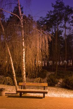 lonely bench in the evening the park