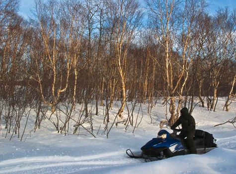 Man on snowmobile in the bighorn mountains, wyoming