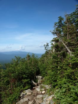 View along the Jewel trail which goes up Mt. Washington in the White Mountains of New Hampshire. The view is during the summer