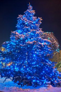 Christmas Tree illuminated by a spotlight at night