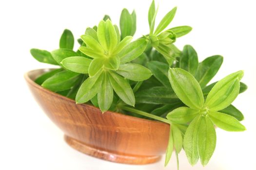 fresh sweet woodruff in a wooden bowl on a white background