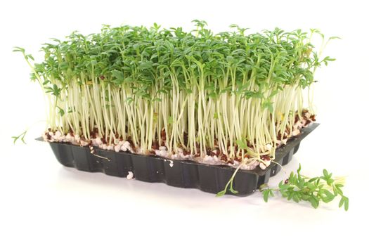 a bowl of watercress on white background