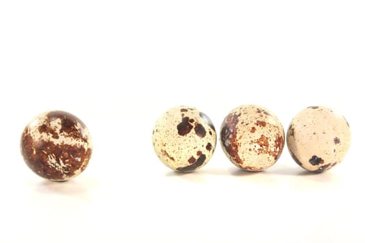 fresh Quail eggs on a white background