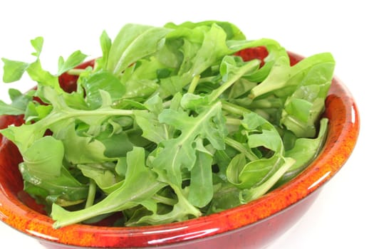 a bowl of rocket leaves on a white background