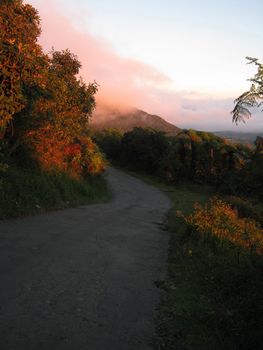 Forest in autumn Hortens Plain, Ceylon - Road to the summit of the mountain