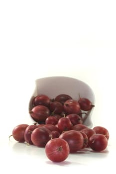 red gooseberries roll out of a bowl on a white background