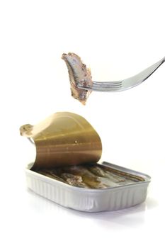 anchovies on a fork with canned before a white background