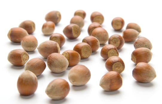 Hazelnuts