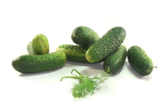 many green Gherkins with dill on white background