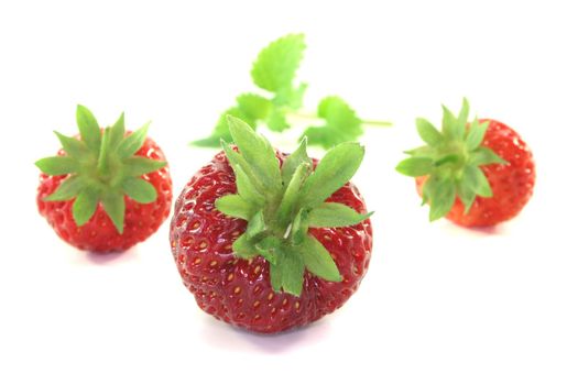 fresh red strawberries with lemon balm on a white background