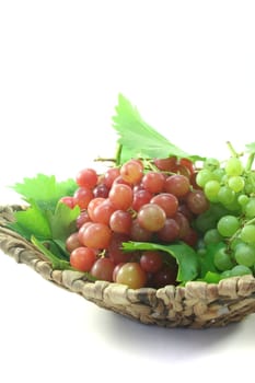 red and bright grapes with vine tendril in a basket on a white background