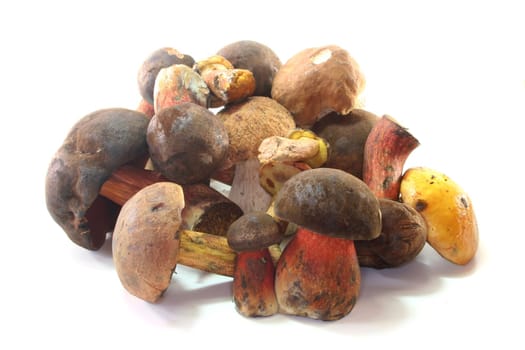 a few Wild mushrooms on a white background