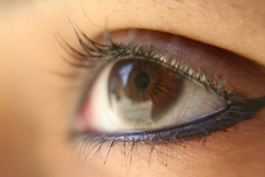 macro closeup of eye lashes