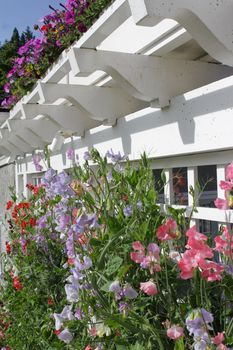 diversity of flowers along white fence