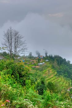 The green valley, village road and cottages overcast sky