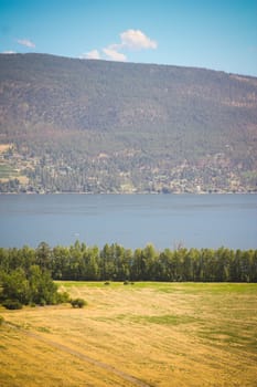 a yellow field, blue lake, mountain and azure sky