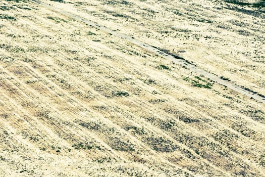 isolated trail path in a yellow field