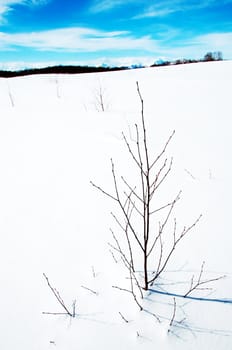 snow winter landscape on Kamchatka in Russia