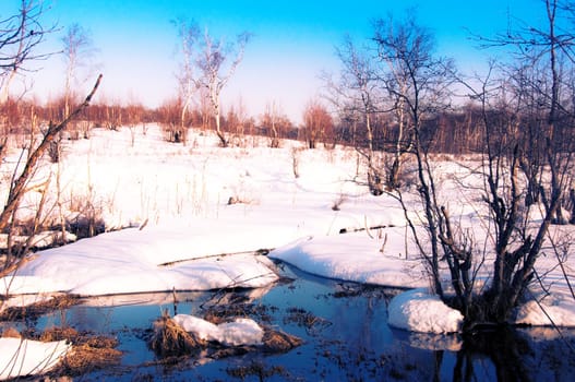 snow winter landscape on Kamchatka in Russia