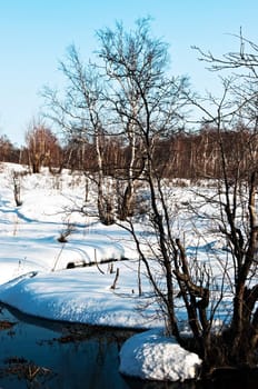 snow winter landscape on Kamchatka in Russia