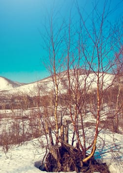 snow winter landscape on Kamchatka in Russia