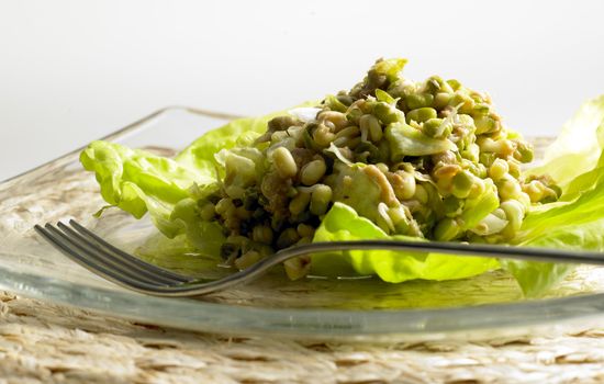 salad with baby mungo and tuna fish