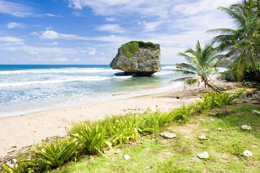 Bathsheba, Eastern coast of Barbados, Caribbean