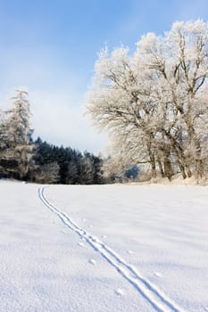 winter landscape, Czech Republic