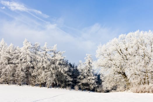 winter landscape, Czech Republic
