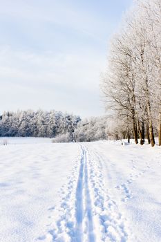 winter landscape, Czech Republic