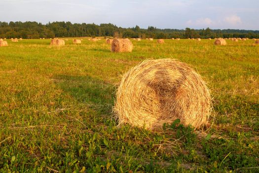 Straw bales on farmland withh shadow of posing girl