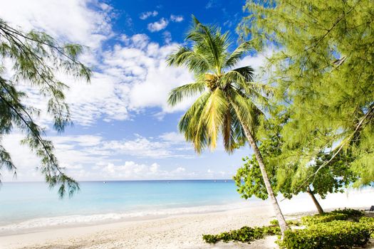 Enterprise Beach, Barbados, Caribbean