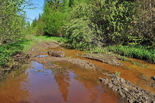 Mud puddle on a forest road in spring time, Russia