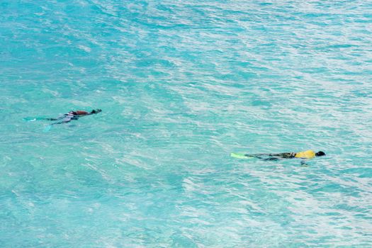 snorkeling, Southern coast of Barbados, Caribbean