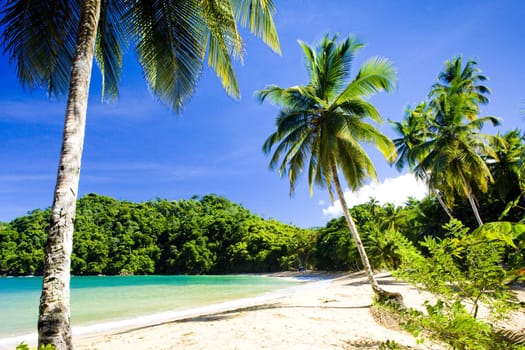 Englishman''s Bay, Tobago