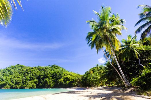 Englishman''s Bay, Tobago