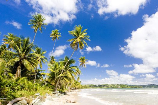 Rockly Bay, Tobago