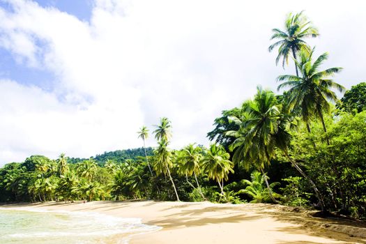 Englishman''s Bay, Tobago