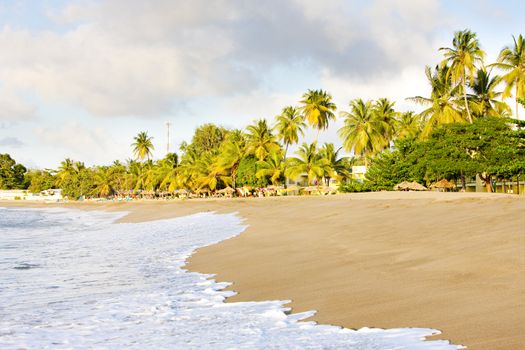 Turtle Beach, Tobago