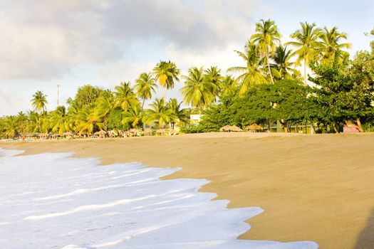 Turtle Beach, Tobago